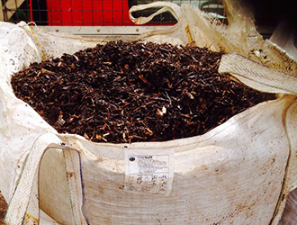 Skip Hire Exmouth