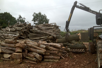 Biofuel products Devon